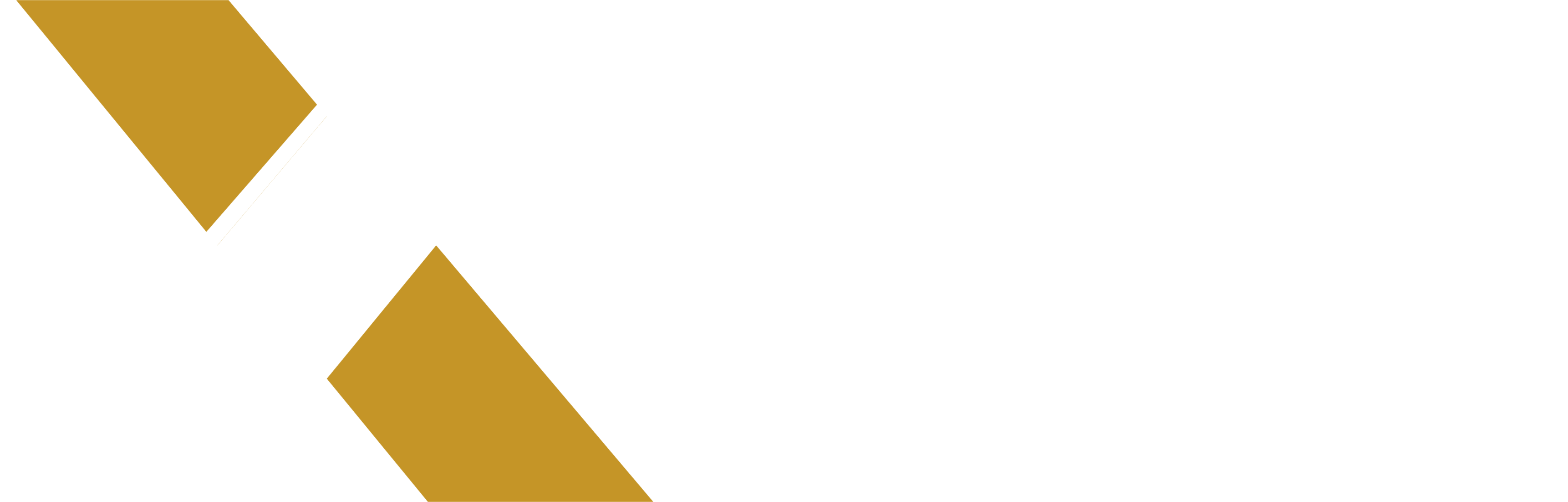 Logo XMOSS Service